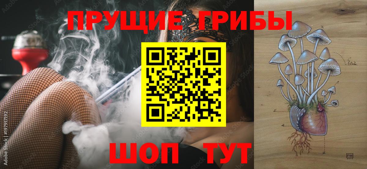 Псилоцибиновые грибы мухоморы  Вход с VPN  Мичуринск 