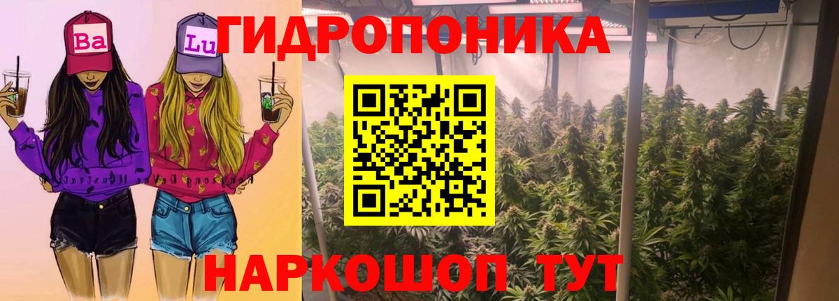 Бошки Шишки Bruce Banner Мичуринск